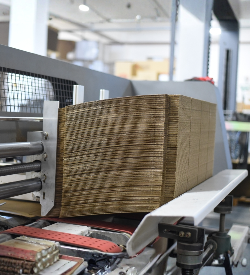 Çevre ve Enerji Politikası